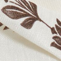 SIMCOA | IVORY