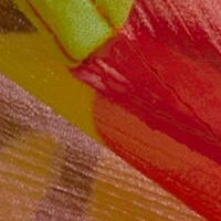 DDARCIS | CORAL