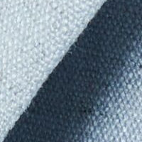 CARNI | PL-BLUE